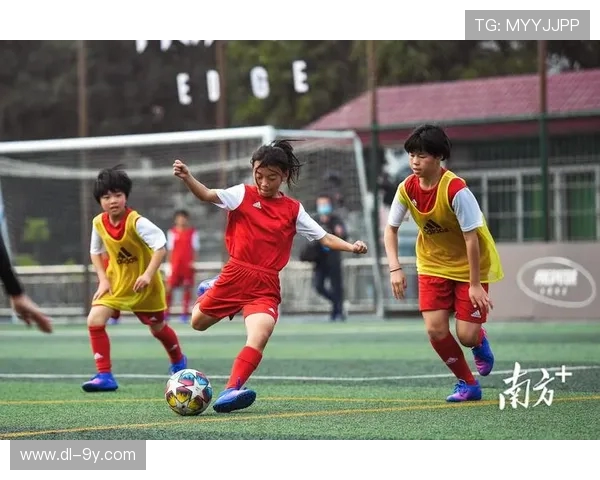 传奇明星引领贵州足球崛起 探寻本土足球的未来与希望