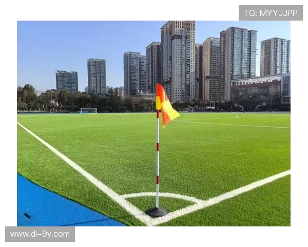 以创新科技驱动高性能足球塑胶草坪绿色智能制造发展新格局 以创新科技驱动高性能足球塑胶草坪绿色智能制造发展新格局